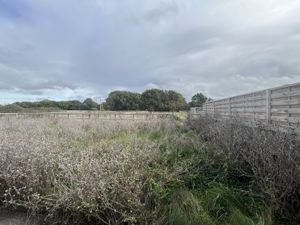 Photo 26- click for photo gallery